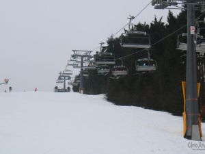 UA180120dagtochtwinterbergl09.JPG